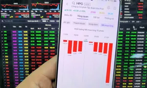Khối ngoại bán ròng hơn 11 triệu cổ phiếu Hòa Phát