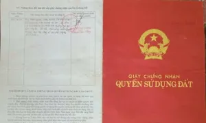 Người dân sắp có thể nộp sổ đỏ photocopy trên VNeID