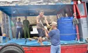 Khởi tố vụ 13 tàu cá tháo thiết bị giám sát để khai thác ở vùng cấm